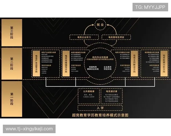 电竞产业崛起背后的发展机遇与挑战分析：从市场规模到职业化进程探讨