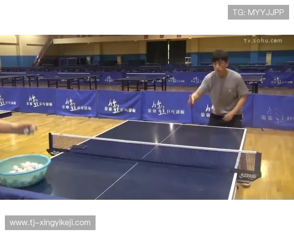 乒乓球运动:技术、规则和训练方法探究 乒乓球运动:技术、规则和训练方法探究