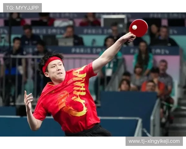 乒乓球运动的魅力与发展探究从国球精神到世界竞技舞台的辉煌历程 乒乓球运动的魅力与发展探究从国球精神到世界竞技舞台的辉煌历程