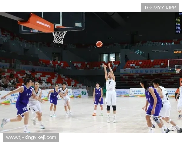 聚焦篮球明星成长之路与赛场传奇故事精彩全面深度权威解读全方位 聚焦篮球明星成长之路与赛场传奇故事精彩全面深度权威解读全方位