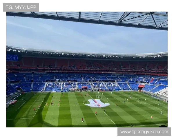 从绿茵场到荣耀殿堂探秘足球激情与团队精神的永恒魅力