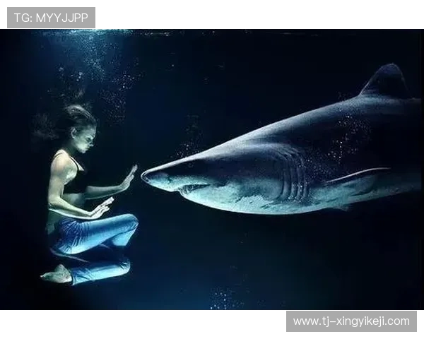 坚持科学健身塑造健康体魄引领积极生活方式全面提升幸福感