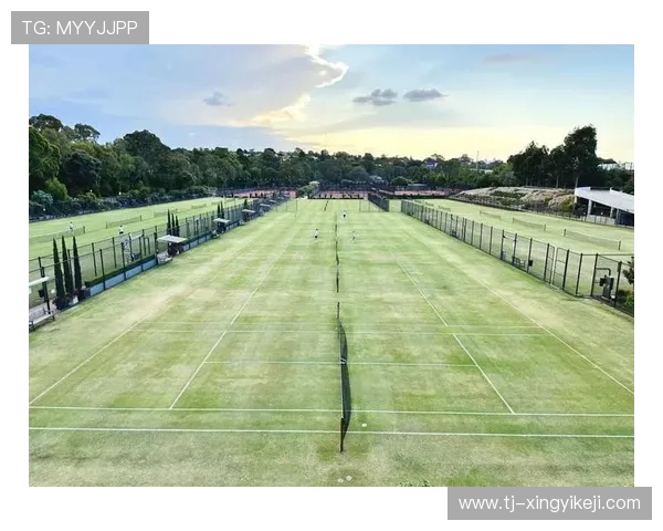 网球运动的历史演变与技术革新:从草地到硬地的全方位解析 网球运动的历史演变与技术革新:从草地到硬地的全方位解析