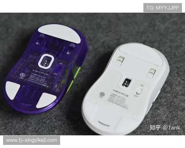 CSGO游戏装备选购指南：最适合你的鼠标推荐与选择技巧