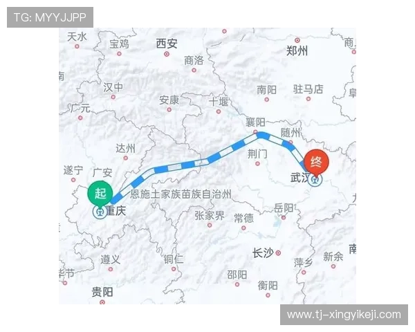 武汉排球队与重庆排球队赛后战术分析与复盘探讨