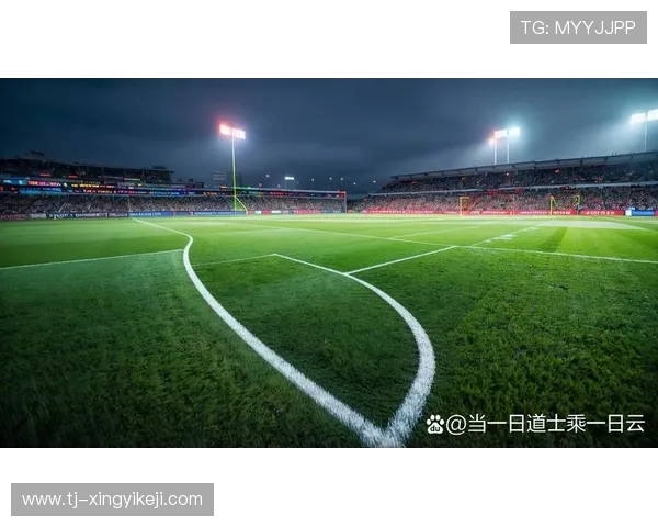 从绿茵场到荣耀巅峰探秘足球激情与团队精神的永恒魅力