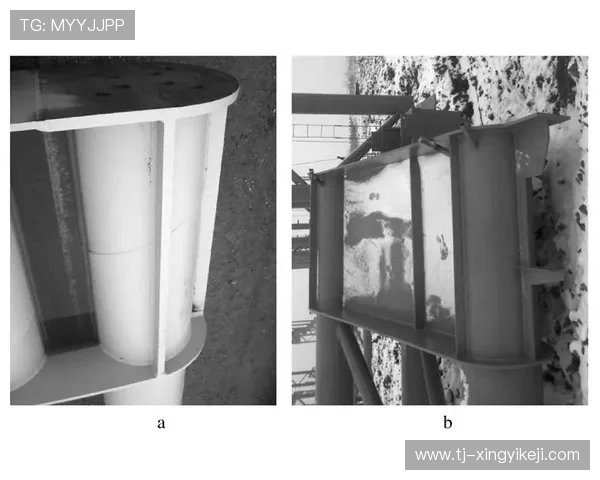 全面解读跳水运动发展历程与技战术演进及未来趋势研究分析探讨篇